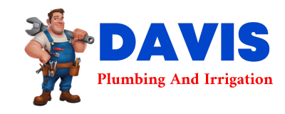 Trusted plumber in BRIGGS